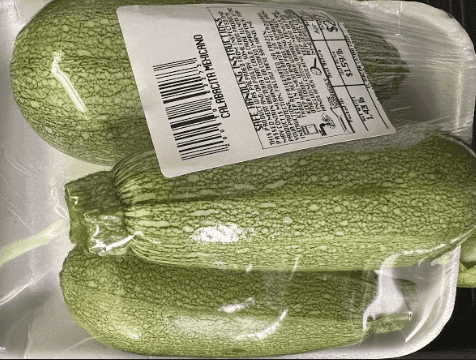 Zucchini Mexican- Calabacin Mexicano