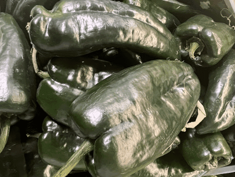 Poblano Jalapeno Pepper- Chile Jalapeño Poblano