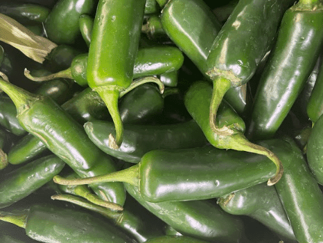 Green Jalapeno Pepper- Chile Jalapeño Verde
